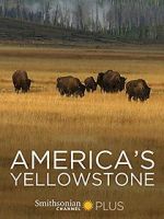Watch America\'s Yellowstone Megashare