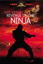 Watch Revenge of the Ninja Megashare