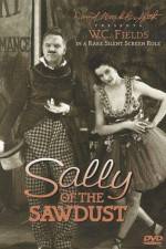 Watch Sally of the Sawdust Megashare