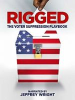 Watch Rigged: The Voter Suppression Playbook Megashare