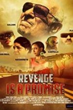 Watch Revenge Is a Promise Megashare