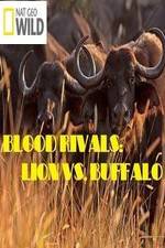 Watch National Geographic - Blood Rivals: Lion vs. Buffalo Megashare
