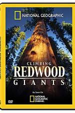 Watch National Geographic Explorer: Climbing Redwood Giants Megashare