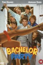 Watch Bachelor Party Megashare
