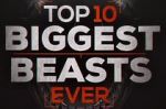 Watch Top 10 Biggest Beasts Ever Megashare