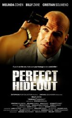 Watch Perfect Hideout Megashare
