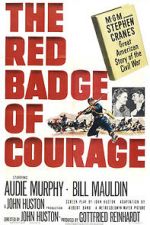 Watch The Red Badge of Courage Megashare