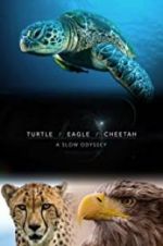 Watch Turtle, Eagle, Cheetah: A Slow Odyssey Megashare
