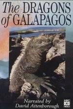 Watch The Dragons of Galapagos Megashare
