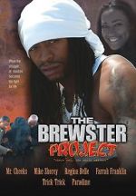Watch The Brewster Project Megashare
