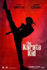 Watch The Karate Kid Megashare