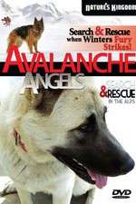 Watch Avalanche Angels Megashare
