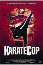 Watch Karate Cop Megashare