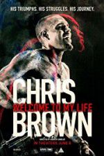 Watch Chris Brown Welcome to My Life Megashare