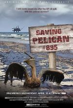 Watch Saving Pelican 895 (Short 2011) Megashare