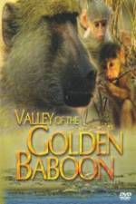 Watch National Geographic Golden Baboons Megashare