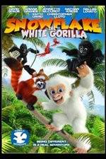Watch Snowflake, the White Gorilla Megashare
