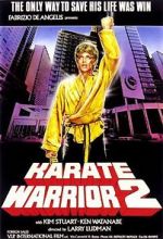 Watch Karate Warrior 2 Megashare