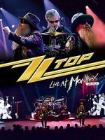 Watch ZZ Top: Live at Montreux 2013 Megashare