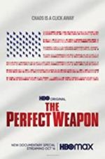 Watch The Perfect Weapon Megashare