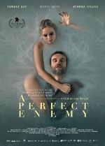 Watch A Perfect Enemy Megashare