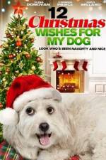 Watch 12 Christmas Wishes For My Dog Megashare