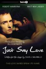 Watch Just Say Love Megashare