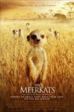 Watch The Meerkats Megashare