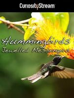 Watch Hummingbirds Jewelled Messengers Megashare
