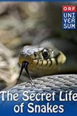Watch The Secret Life of Snakes Megashare
