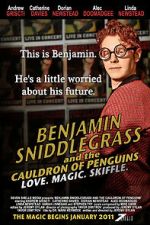 Watch Benjamin Sniddlegrass and the Cauldron of Penguins Megashare