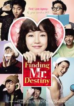 Watch Finding Mr. Destiny Megashare