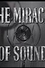 Watch The Miracle of Sound Megashare