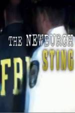 Watch The Newburgh Sting Megashare