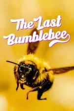 Watch The Last Bumblebee Megashare