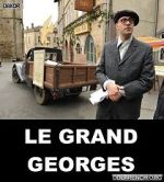 Watch Le grand Georges Megashare