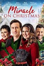 Watch Miracle on Christmas Megashare