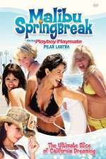 Watch Malibu Spring Break Megashare
