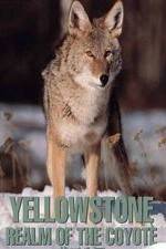 Watch Yellowstone: Realm of the Coyote Megashare