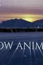 Watch Snow Animals Megashare