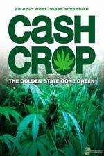 Watch Cash Crop Megashare