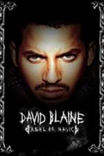 Watch David Blaine: Real or Magic Megashare