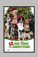 Watch 12 Dog Days Till Christmas Megashare