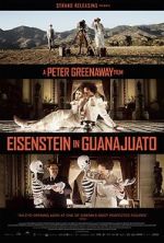Watch Eisenstein in Guanajuato Megashare