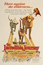 Watch The Incredible Journey Megashare