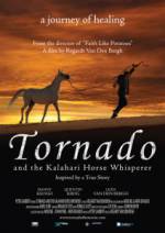 Watch Tornado and the Kalahari Horse Whisperer Megashare