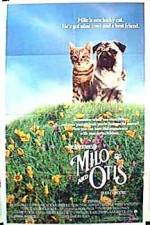 Watch Milo & Otis Megashare