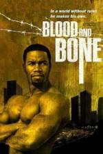 Watch Blood and Bone Megashare