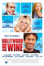 Watch Hollywood & Wine Megashare