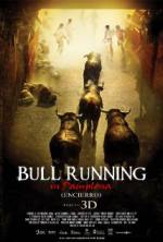 Watch Encierro 3D: Bull Running in Pamplona Megashare